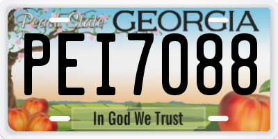 GA license plate PEI7088