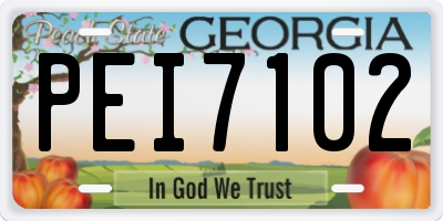 GA license plate PEI7102