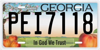 GA license plate PEI7118