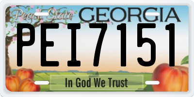 GA license plate PEI7151