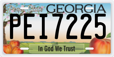 GA license plate PEI7225