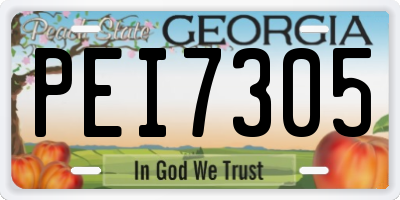 GA license plate PEI7305