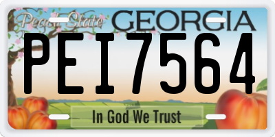GA license plate PEI7564