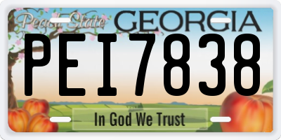 GA license plate PEI7838