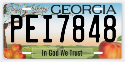 GA license plate PEI7848