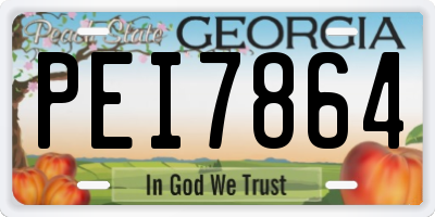 GA license plate PEI7864