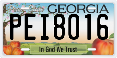 GA license plate PEI8016
