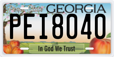 GA license plate PEI8040