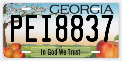 GA license plate PEI8837