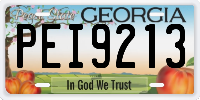 GA license plate PEI9213