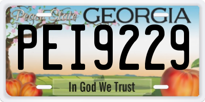 GA license plate PEI9229