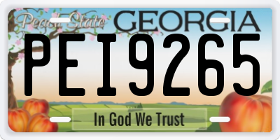 GA license plate PEI9265