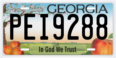 GA license plate PEI9288