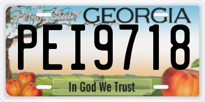 GA license plate PEI9718