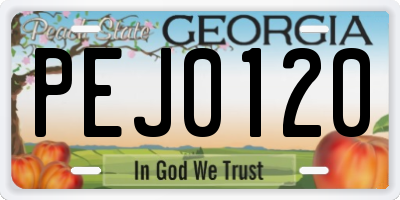 GA license plate PEJ0120