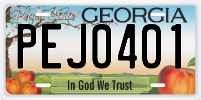 GA license plate PEJ0401
