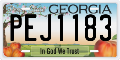 GA license plate PEJ1183
