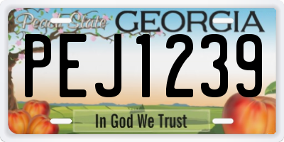 GA license plate PEJ1239