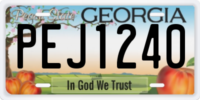 GA license plate PEJ1240