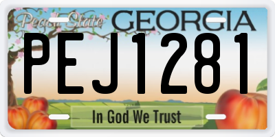 GA license plate PEJ1281