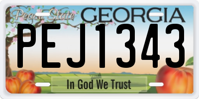 GA license plate PEJ1343