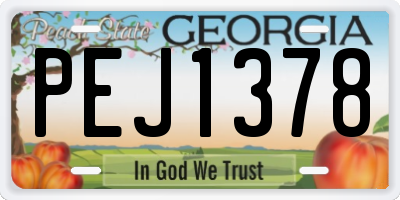 GA license plate PEJ1378