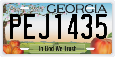 GA license plate PEJ1435