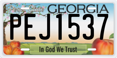 GA license plate PEJ1537