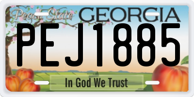 GA license plate PEJ1885