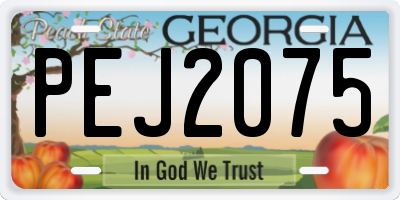 GA license plate PEJ2075