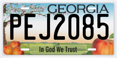 GA license plate PEJ2085