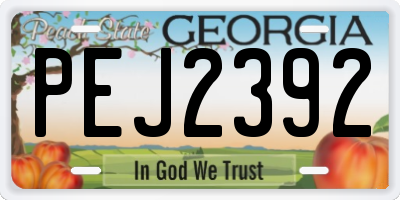 GA license plate PEJ2392