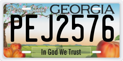 GA license plate PEJ2576