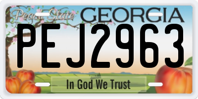 GA license plate PEJ2963