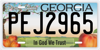 GA license plate PEJ2965
