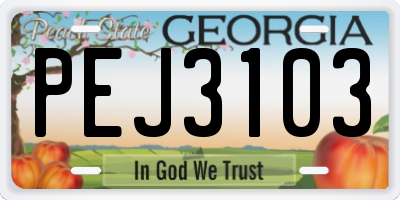 GA license plate PEJ3103