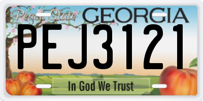 GA license plate PEJ3121
