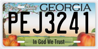 GA license plate PEJ3241