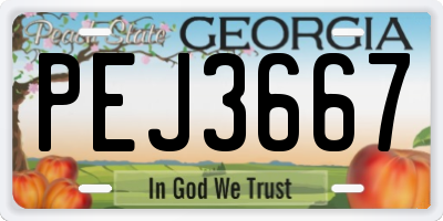 GA license plate PEJ3667