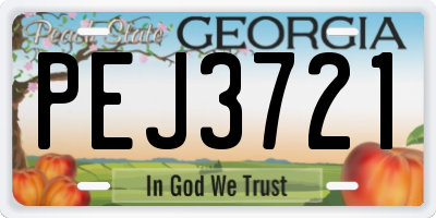GA license plate PEJ3721