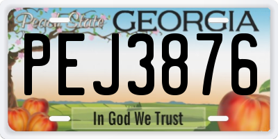 GA license plate PEJ3876