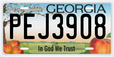 GA license plate PEJ3908