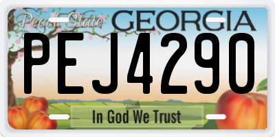 GA license plate PEJ4290
