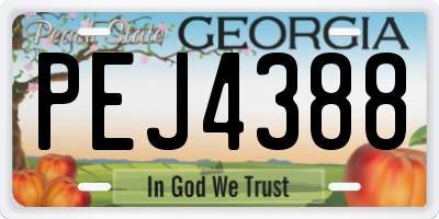 GA license plate PEJ4388