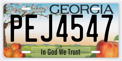 GA license plate PEJ4547