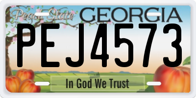 GA license plate PEJ4573