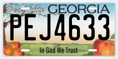 GA license plate PEJ4633