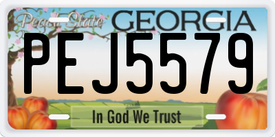 GA license plate PEJ5579