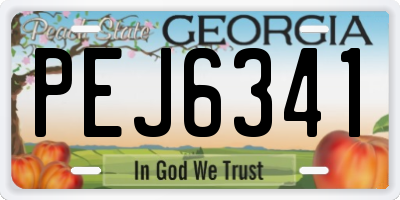 GA license plate PEJ6341
