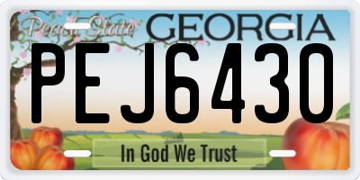 GA license plate PEJ6430